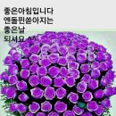 엔돌핀 효과의 멋 이미지