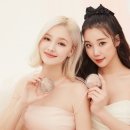 투쿨포스쿨