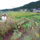온천지구(산동) 이미지