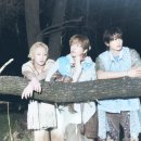 샤이니