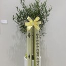 경희김앤안한의원 네이버블로그