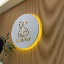 쿨펫동물병원 | 대전 고양이 병원 탄방동 쿨펫동물병원 추천 밥 안먹는 고양이 검진+치료 후기