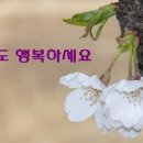 박*주 이미지
