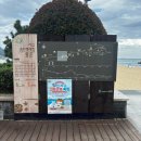 송도오션파크 이미지