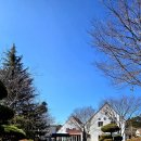 사회복지법인 해송복지원 | 갯벌과 송림의 조화 장항 송림 자연휴양림과 서천 갯벌