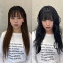 헤어콕 이미지