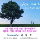 (유)제주로여행 이미지