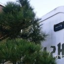 사나래카라반캠핑 이미지