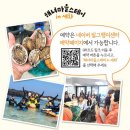 세화스테이