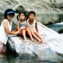 다리안민박 이미지