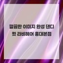 라비헤어 - 제주시 | 라비헤어