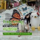 달동네예술가 | 통영 여행코스 추천 서피랑마을 99계단 강구안브릿지