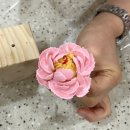 궁전학원 티스토리