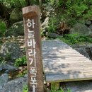 경기(남양주)서리산 최단코스 이미지