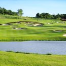 시암아시아 이미지