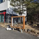 브룩5(BROOK5) | [ 가평 브룩5 BROOK5 펜션 스텐다드 503호 ] 물개 놀