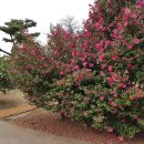 이렇게좋은날 이미지