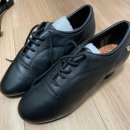 파워댄스2 | 일본 나고야 교환학생 후기(일기): 동아리 일기(댄스스포츠, 다도부)