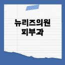 뉴리즈의원 | 잠실 피부과: 뉴리즈의원으로 바뀐 밴스의원