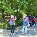 숲체험(전주 수목원) 이미지