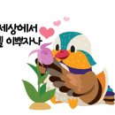 데이든(DAYDEN) 이미지