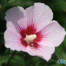 옥정호 황토민박 이미지