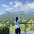 비엔토테이크아웃 | 속초 여행코스 2일차 카페 추천 | 소노벨 델피노 울산바위뷰 카페 3곳 비교