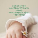 모정 Daum카페