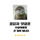 [남양주 동동국수집] 내돈내산ㅣ테이블링원격줄서기 하루에두번 간 단골집 콩국수 아쉬웠던 후기
