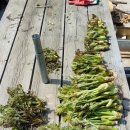 내검농장 이미지