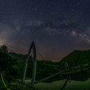 연하엽구름다리 이미지