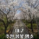 청라언덕역 2번출구 횡단보도 | 대구 봄꽃 명소 BEST3 남평문씨세거지 청라언덕 금호강 벚꽃