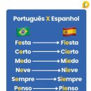 7개국어 구사자가 알려주는 외국어 학습법 | 🇳🇱 성매매 합법인 네덜란드 재미난 사실 알려드림 2탄