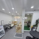 미미애견 이미지