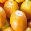 방가네농장 이미지