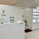 해밀동_해밀마을BRT | [스칼프픽] 세종 해밀동 두피 클리닉 맞춤형 탈모관리 두피스케일링 추천