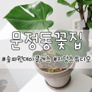 스튜디오지담 이미지