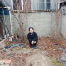 현대이용소 이미지