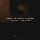 레드필 이미지