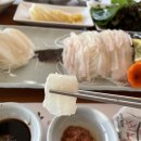 사철횟집 - 여수시 만성리길 19 | 사철횟집
