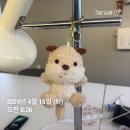 [신한커리어업 쏠컴퍼니 26-27일차 ]