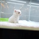 한상태농장 이미지