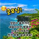 최씨고집 이미지