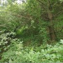 단양군어상천면덕문곡보건진료소 이미지