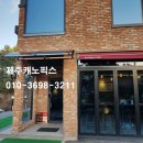 제주캐노픽스 이미지