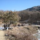 선림농장 이미지