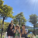 카페트윈컵