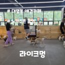 라이크멍 이미지