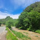 농암로(예안면) 이미지