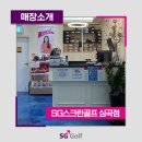 팔래스스크린골프